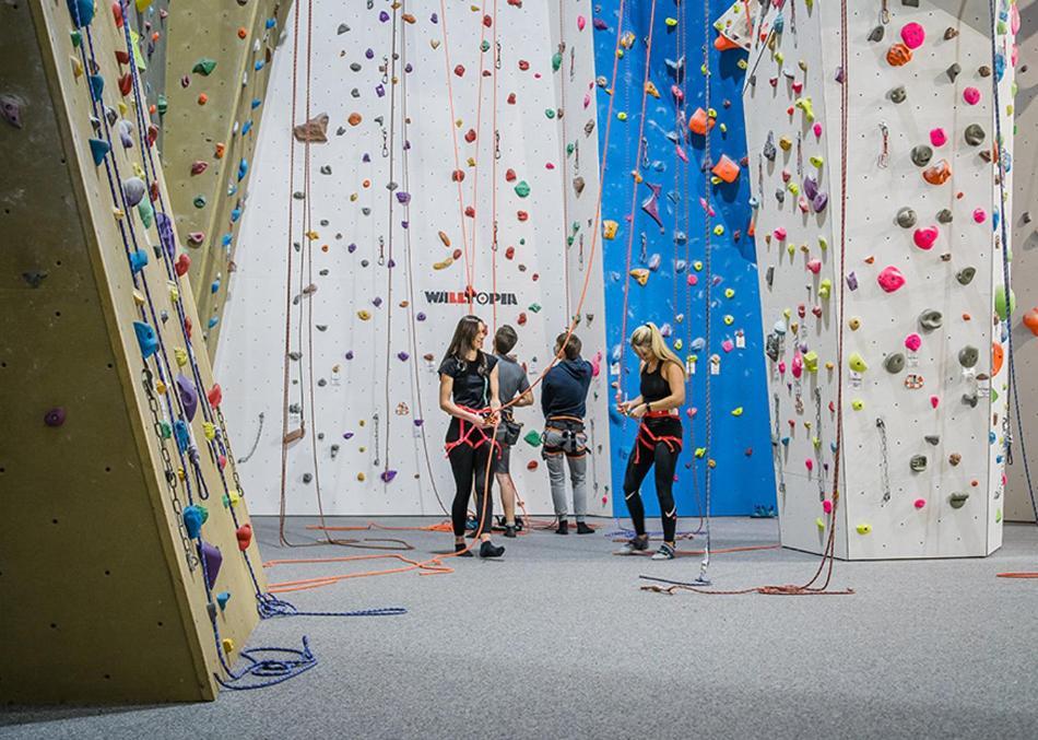 Ferienwohnung Zum Kuehlen Grund Eimelrod Eksteriør billede